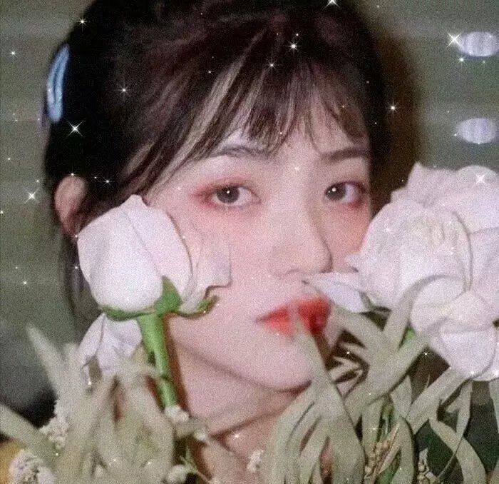 名校风暴第五季